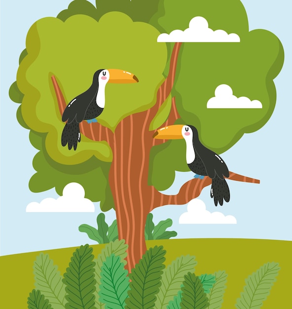 Vector animals toucan tree foliage cartoon