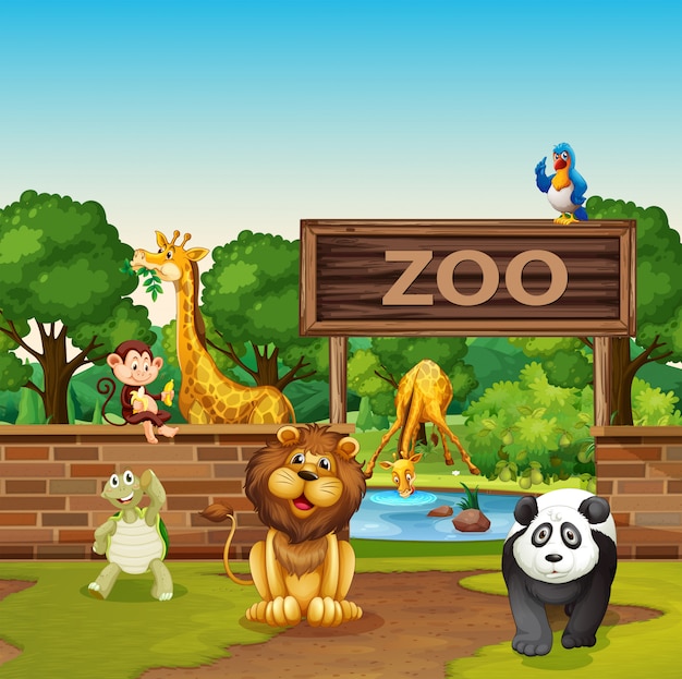 Vector animals in the zoo