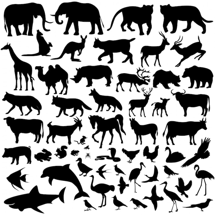Vector 動物