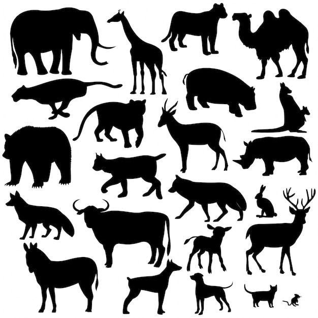 Vector animals