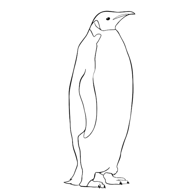 Vector animated penguin coloring