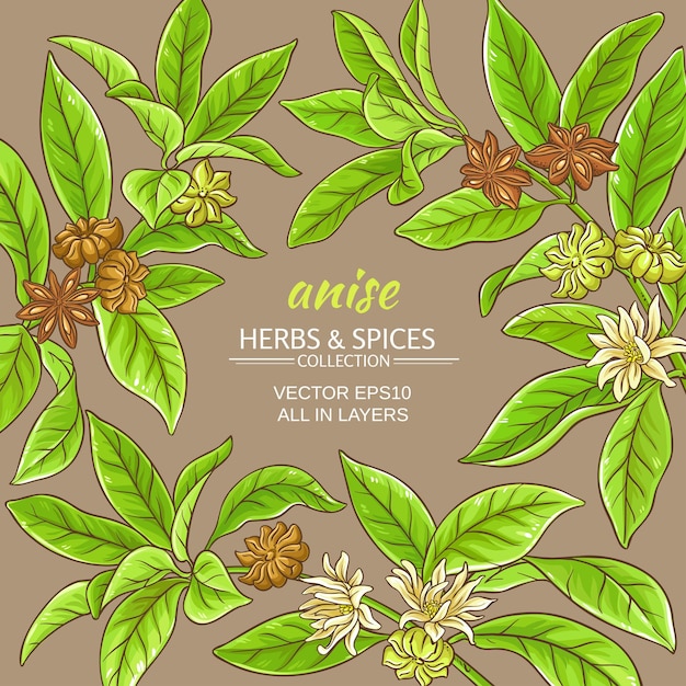 Anise vector frame