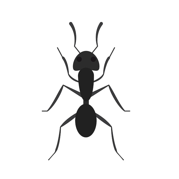 Vector ant animal vector illustration icon image