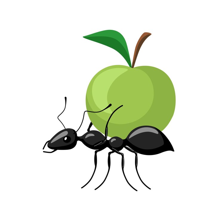 वेक्टर ant carrying food isolated on white background. bug carrying apple and walking to the anthill.