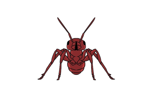 Materiale illustrativo dell'illustrazione del firebug del clipart della formica