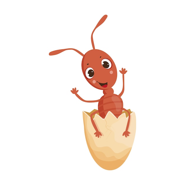 Ant in egg