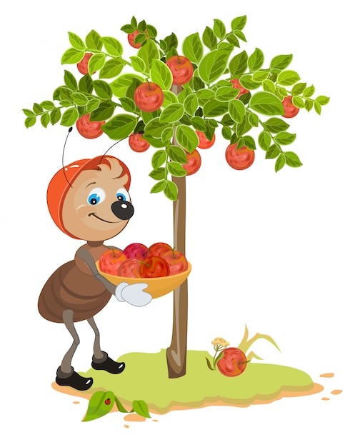 Вектор Муравей садовник собирает яблоки. иллюстрация яблони и яблок