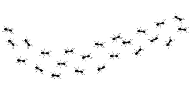 Vector ant kolom. zwarte insectensilhouetten reis. teamwork, hard werken metafoor