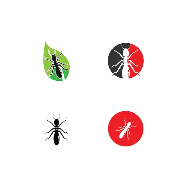 Ant Logo template vector illustration design