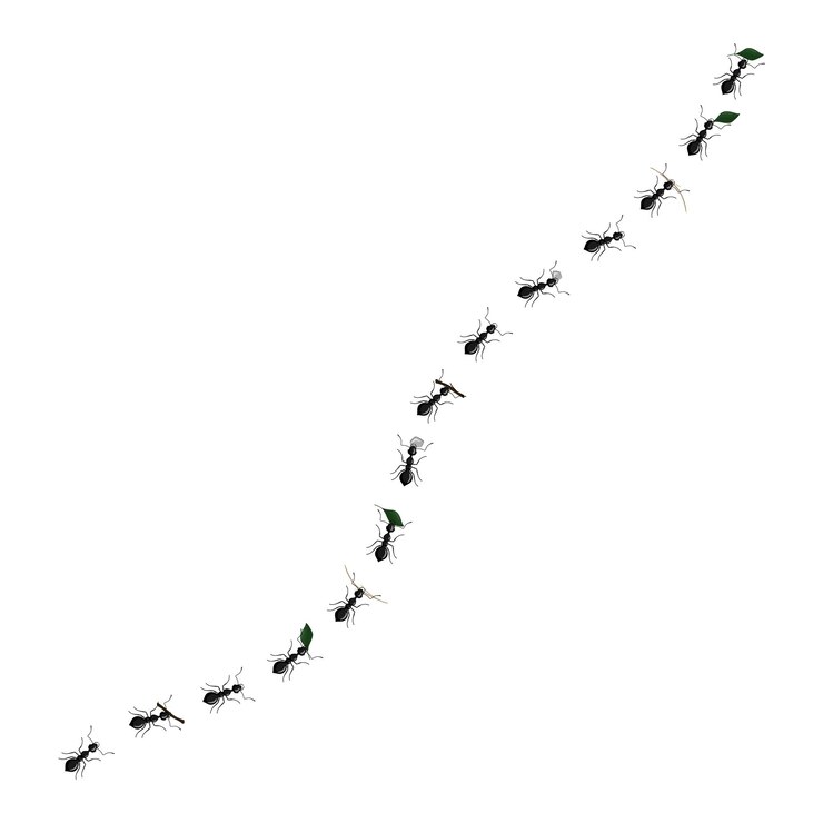 Vector ant trail carry leaves, pebbles and twigs isolated on a white background. a line of worker ants marching to anthill.