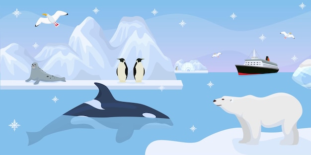 ベクトル 南極大陸の美しい野生動物のベクトル イラストかわいいペンギン シール青い海で氷山のクジラに