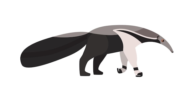 Anteater isolated on white background. adorable unusual exotic insectivorous animal with elongated muzzle. wild species native to america. colorful vector illustration in flat cartoon style.