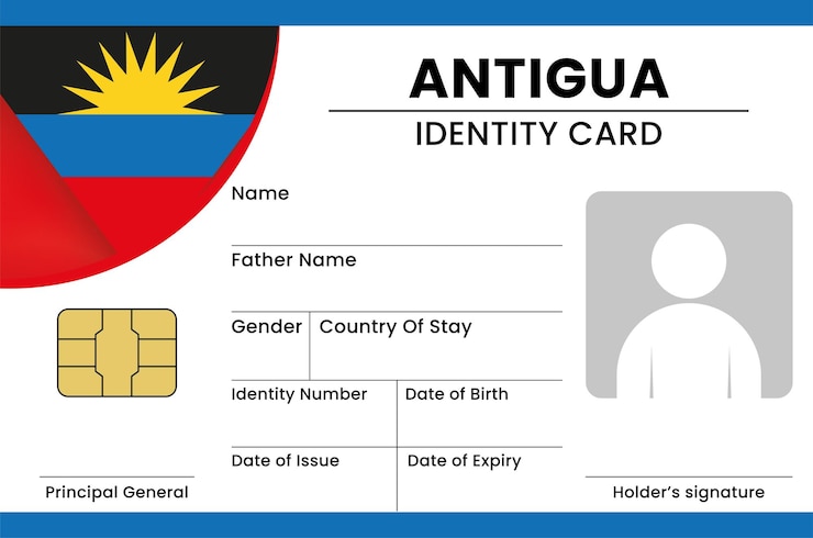 Vector antigua card design