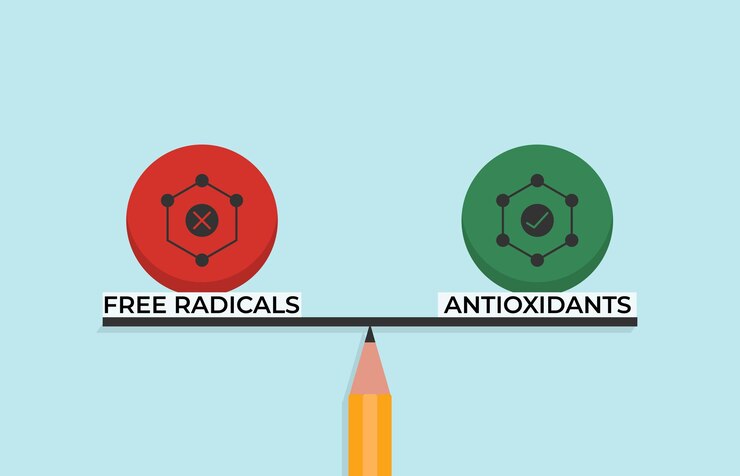 Vector antioxidants and free radicals in balance on the scale that symbolize harmony and equity between antioxidants
