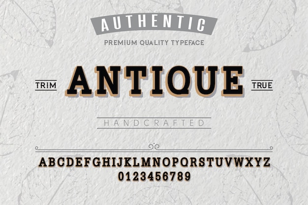 Vector antique typeface for labels and different type designs