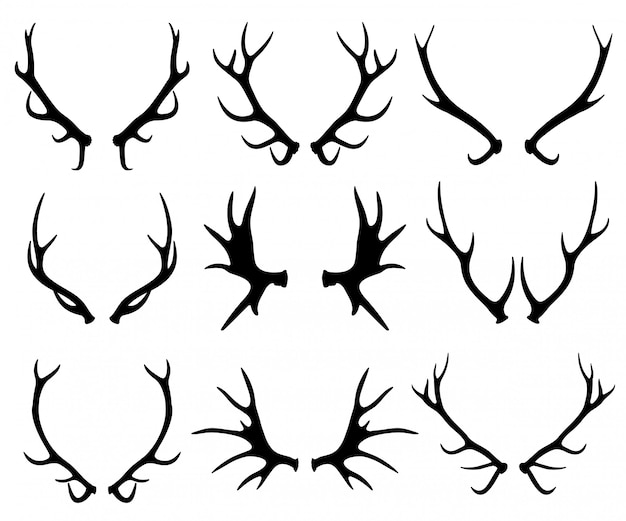 Antlers, deer and reindeer horns