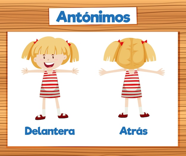 Вектор Антонимы word card delantera и atras по-испански означают передний и задний.