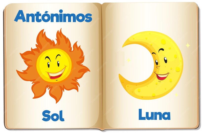 Premium Vector | Antonym word card in spanish sol and luna means sun