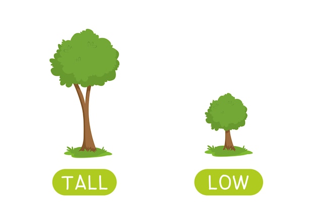 Antonyms and opposites teaching aid for an english language learning