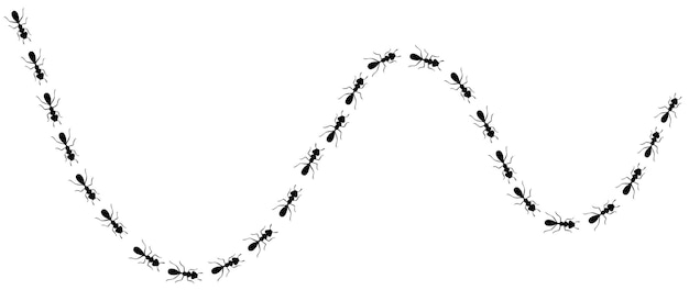 Vector ants trail with location icons route or path isolated in white background vector illustration