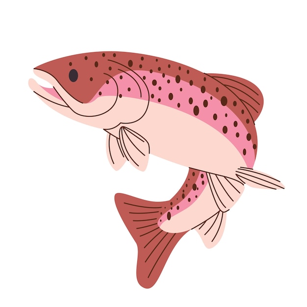 Vector apache trout fish jumping pose aquatic water freshwater drawing illustration