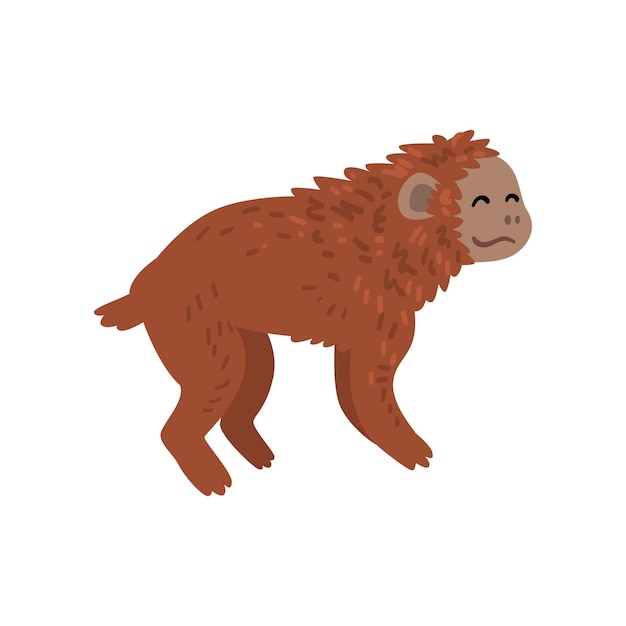 Ape monkey animal progress stage evolutionary process of woman vector illustration