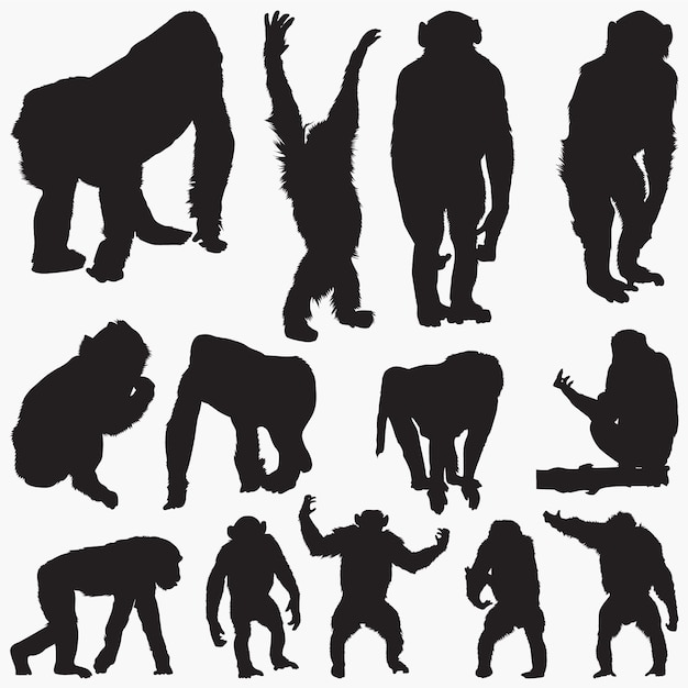 Vector ape silhouettes set