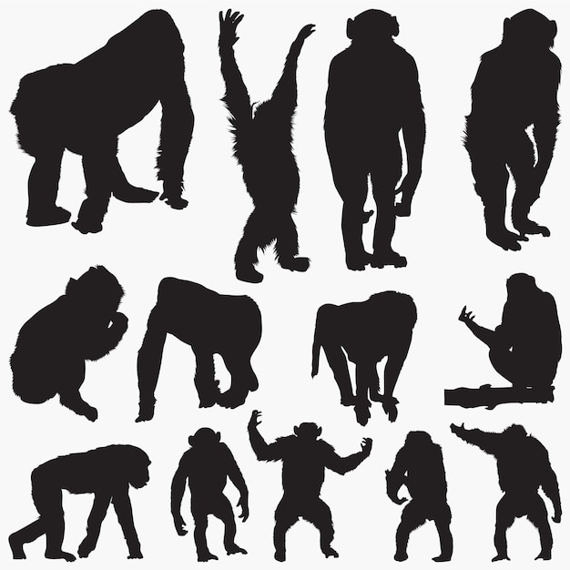 Ape Silhouettes set