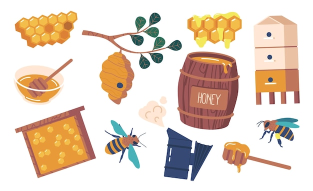 Set di articoli per apiario fumatore hive barrel queen and bee honey dipper o frame questi strumenti essenziali illustrazione vettoriale