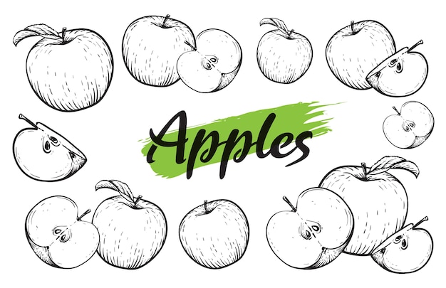 Appel fruit set. Gegraveerde zwart-witte appels. Wijnoogst. Hand realistische tekening.