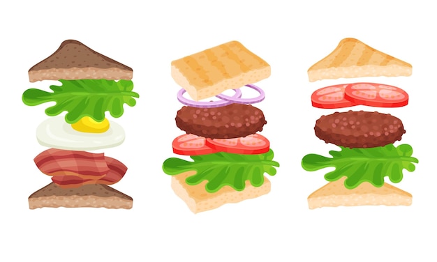 Vector appetizing sandwich ingredients isolated vector illustrated collection