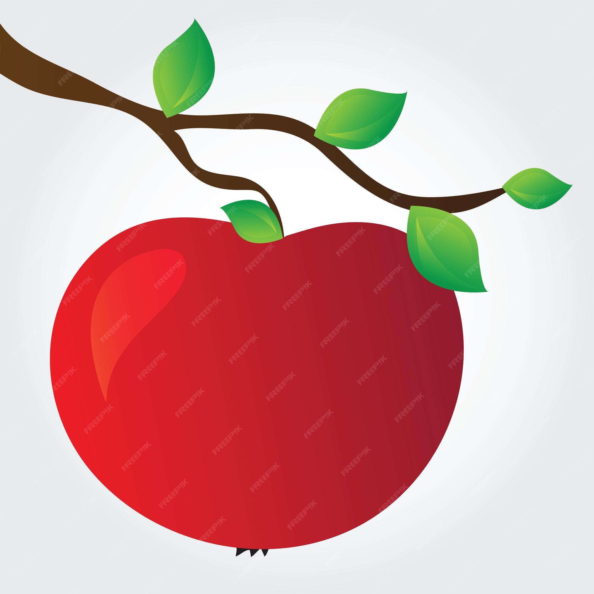 Red apple Royalty Free Vector Image - VectorStock