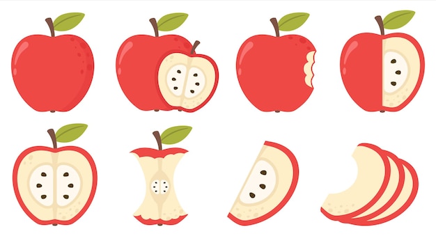 Apple collection Whole cut in half sliced on pieces apple Vector illustration Red apple