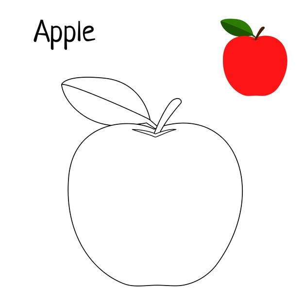 Apple coloring page