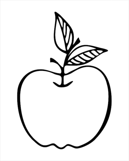 Apple doodle hand drawn contour, white background.