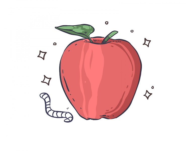 Vector apple doodle illustration