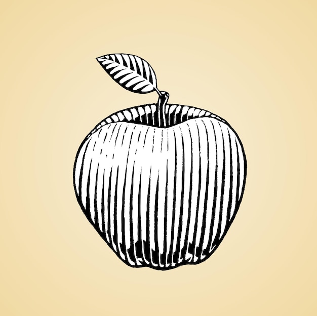 Apple Drawing Black and White Scratchboard Engraved Vector