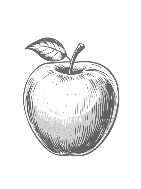 Vector an apple drawing with a leaf on it