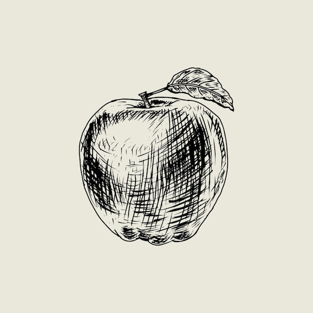 Vector apple drawing with vintage style