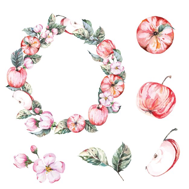 Vector apple and flower wreath painted in watercolorfruit circle for invitation wedding or greeting cards