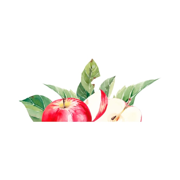 Vector apple frame