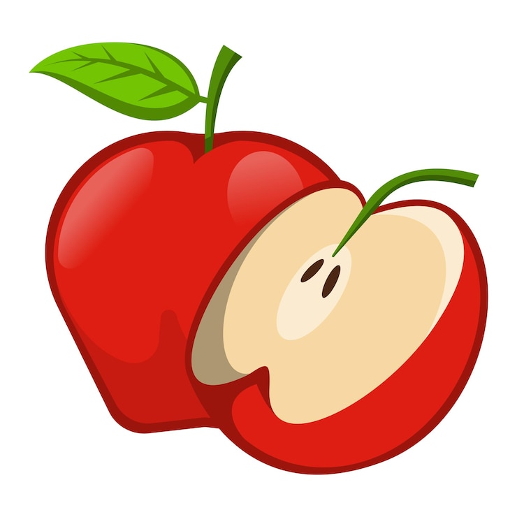 Vector apple fruit illustration
