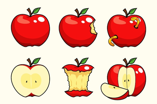 Vector apple fruit set collections cartoon