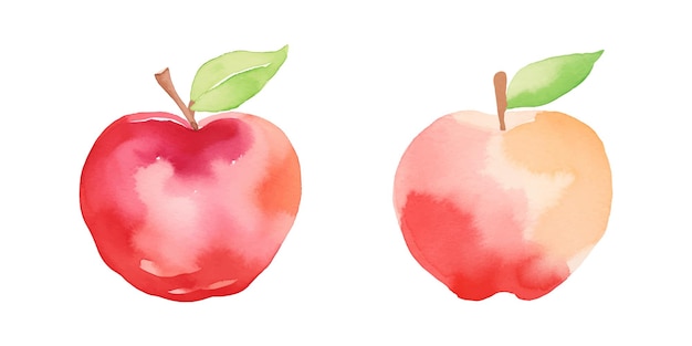 an apple fruit watercolor vector