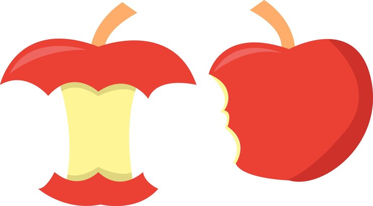 Vector apple fruit