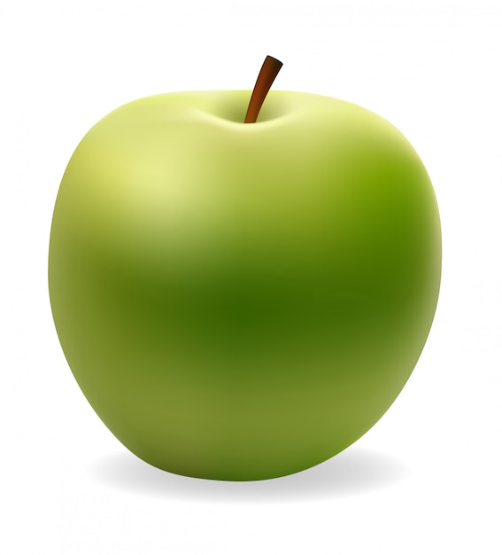 Apple groene vectorillustratie