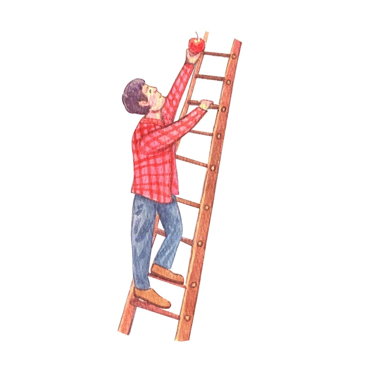 Vector apple harvest watercolor concept vector