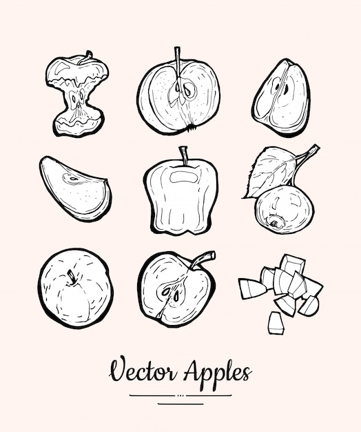 Apple isolated. Fruits collection hand drawn set. Trendy food vegetarian menu