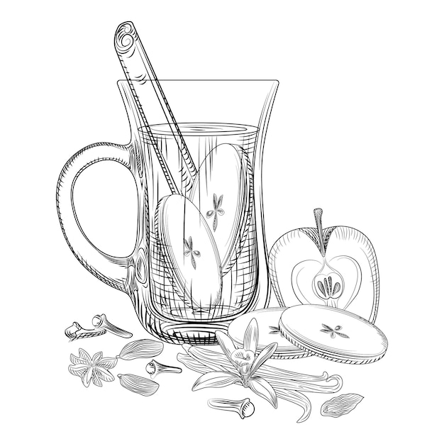 Apple mulled wine. Mulled wine glass, apple, cinnamon sticks, cloves, vanilla, anise, cardamom Engraving style Vector illustration