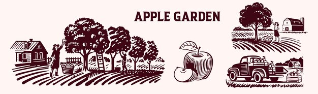 Vector apple orchard vector illustration set apple farm apple harvest apple picking in apple orchard